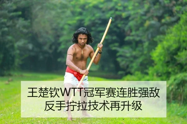 王楚钦WTT冠军赛连胜强敌 反手拧拉技术再升级